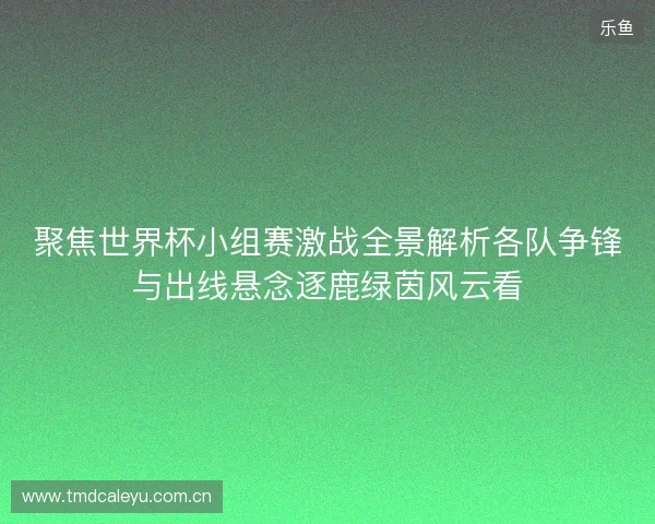 聚焦世界杯小组赛激战全景解析各队争锋与出线悬念逐鹿绿茵风云看