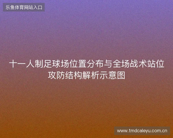 十一人制足球场位置分布与全场战术站位攻防结构解析示意图